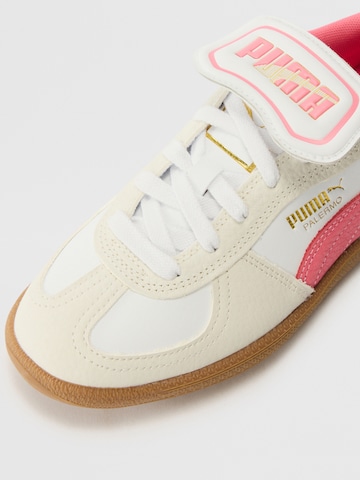 PUMA Σνίκερ 'Palermo Premium' σε λευκό