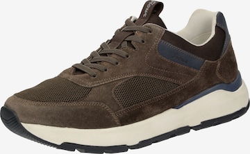 Baskets basses 'Rogerlino-700-H' SIOUX en marron : devant