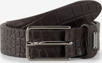 Ceinture STRELLSON en marron : devant