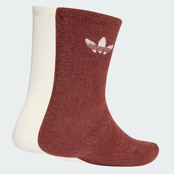 ADIDAS ORIGINALS Socks in Brown