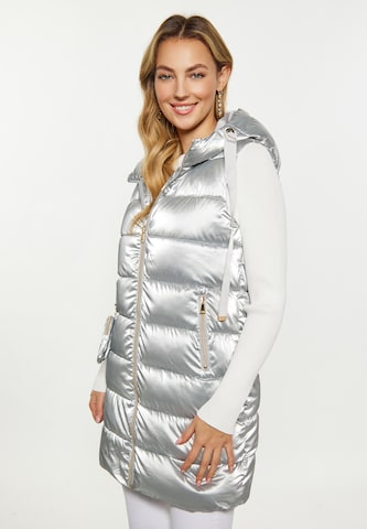 Gilet faina en argent