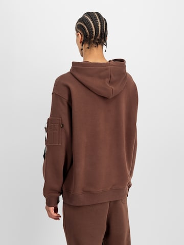 ALPHA INDUSTRIES Sweatshirt 'DTM ML' in Braun: Rückseite