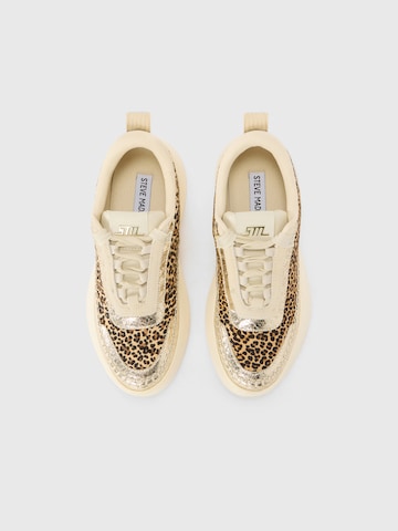 STEVE MADDEN Sneaker 'Doubletak' in Mischfarben: oben