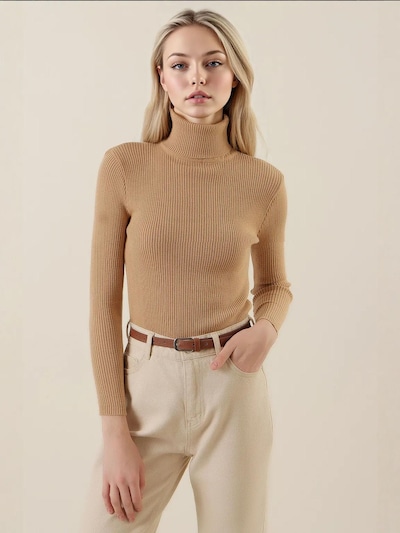 Bigdart Pullover in S-L in camel, Produktansicht
