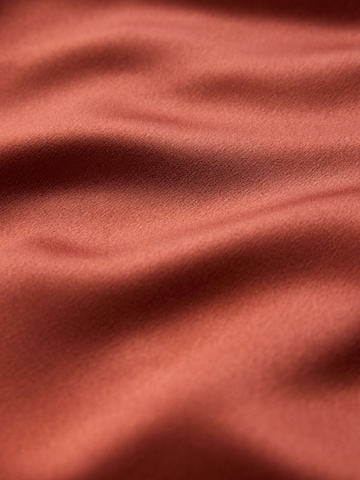 Next Evening Dress in Brown
