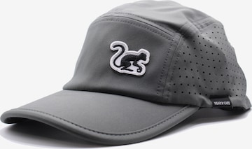 Surf Monkey Czapka sportowa w kolorze szary: przód