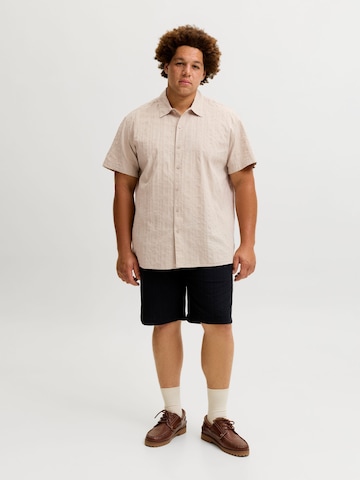 JACK & JONES Regular Fit Skjorte i grå