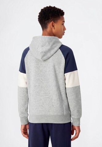 Champion Sweatshirt in Grey