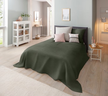 HOME AFFAIRE Blankets in Green