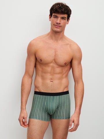 CALIDA - Boxers em verde: frente