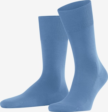 FALKE Socken 'ClimaWool' in Blau: Vorderseite
