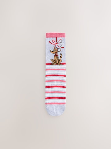 Next Socks in Mixed colours