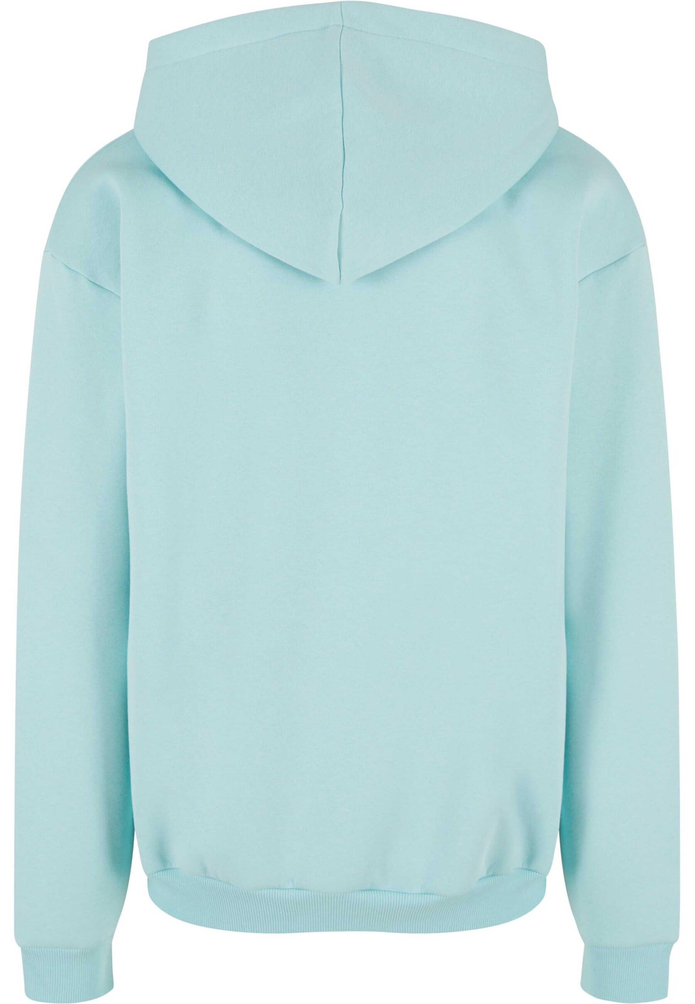 Karl Kani Sweatjacke 'Essential' in Blau