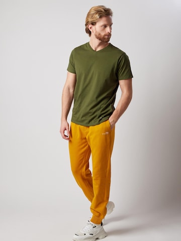 OWN Off With Nature Regular Broek 'Joggers Felpati' in Bruin