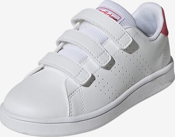 Baskets 'Advantage CF' ADIDAS ORIGINALS en blanc : devant