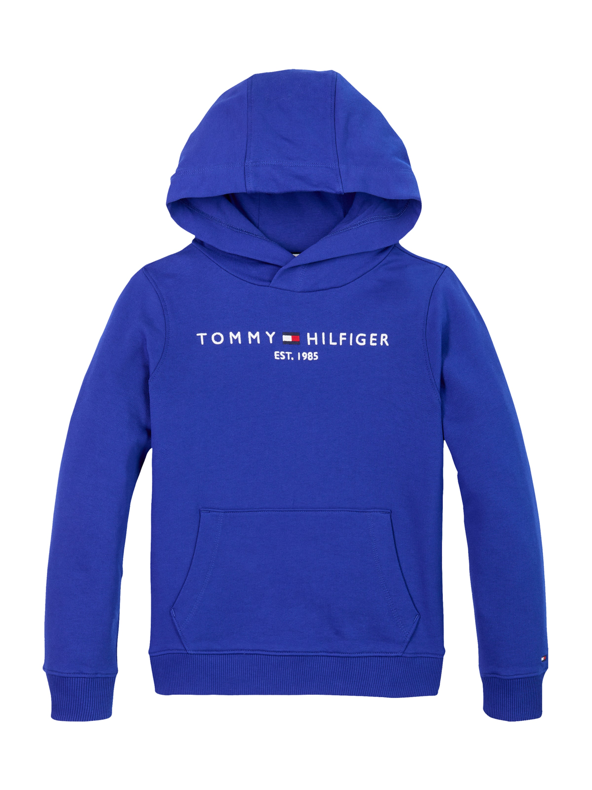 TOMMY HILFIGER Sweatshirt 'Essential' in Blau: Vorderseite