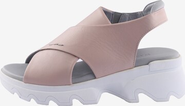 D.MoRo Shoes Sandale 'Vagveda' in Pink