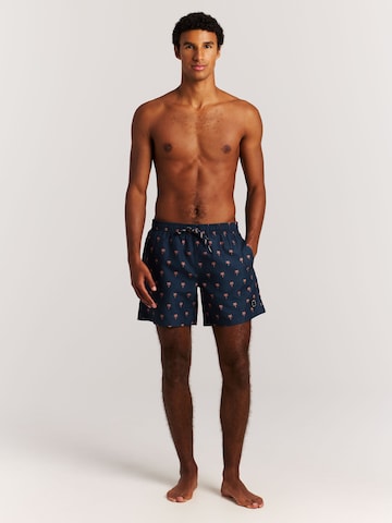 PROTEST Badeshorts 'PRTMascot'‌‌‌‌‌‌‌‌‌‌ in Blau