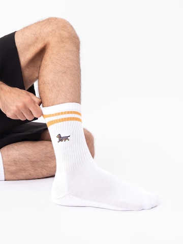 Occulto Sports socks 'Rio' in Brown