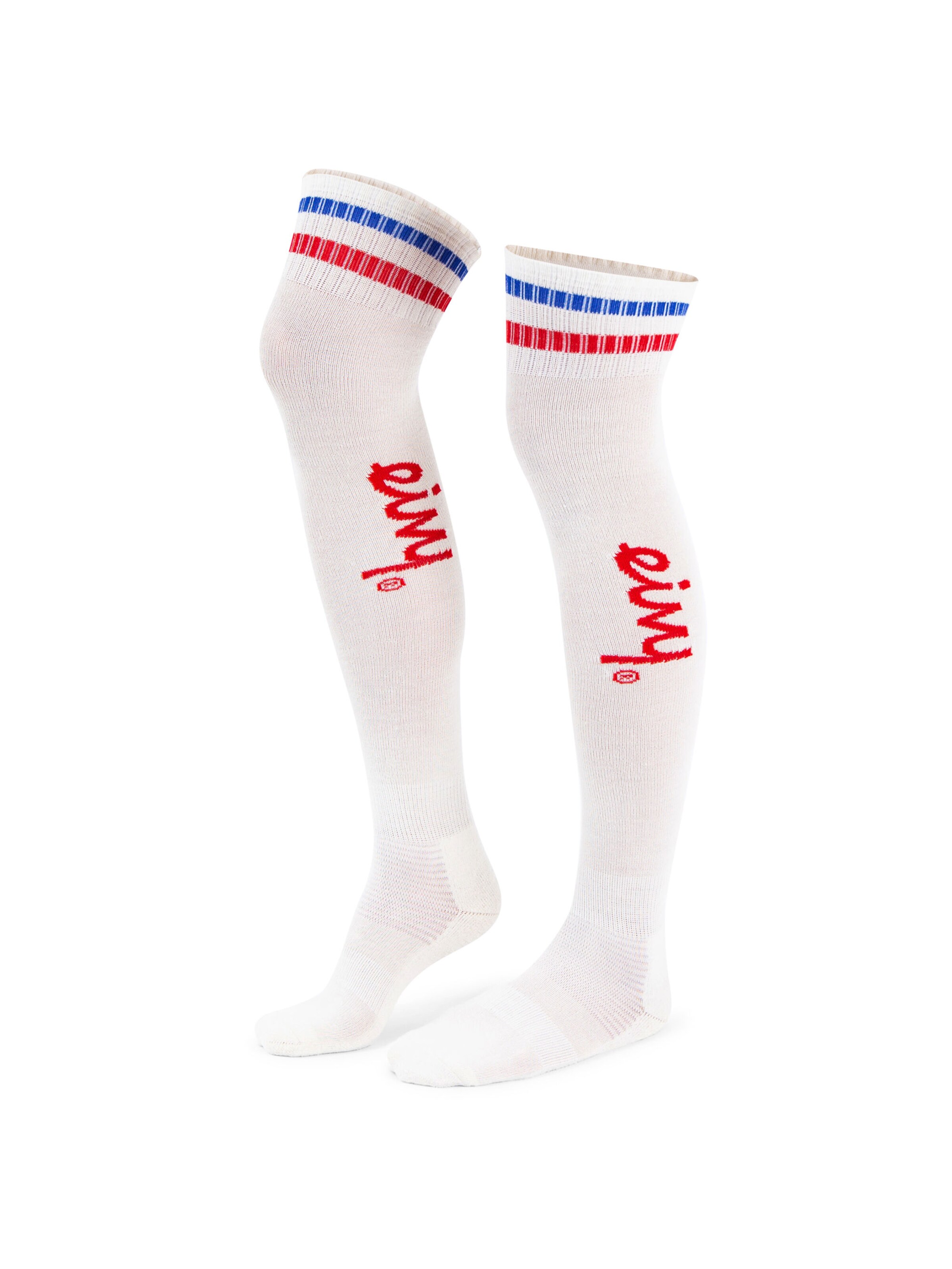 Eivy Sports socks in White: front