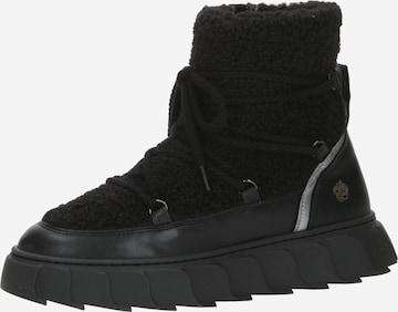 Apple of Eden Shoes for women Buy online ABOUT YOU