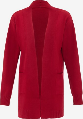 Cardigan boline en rouge : devant