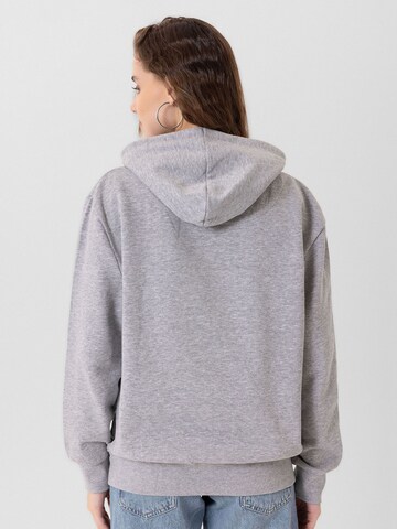 Felpa di Jacey Quinn in grigio