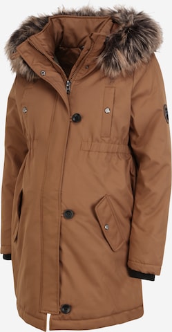 Only Maternity Winter Parka 'Iris' in Brown: front