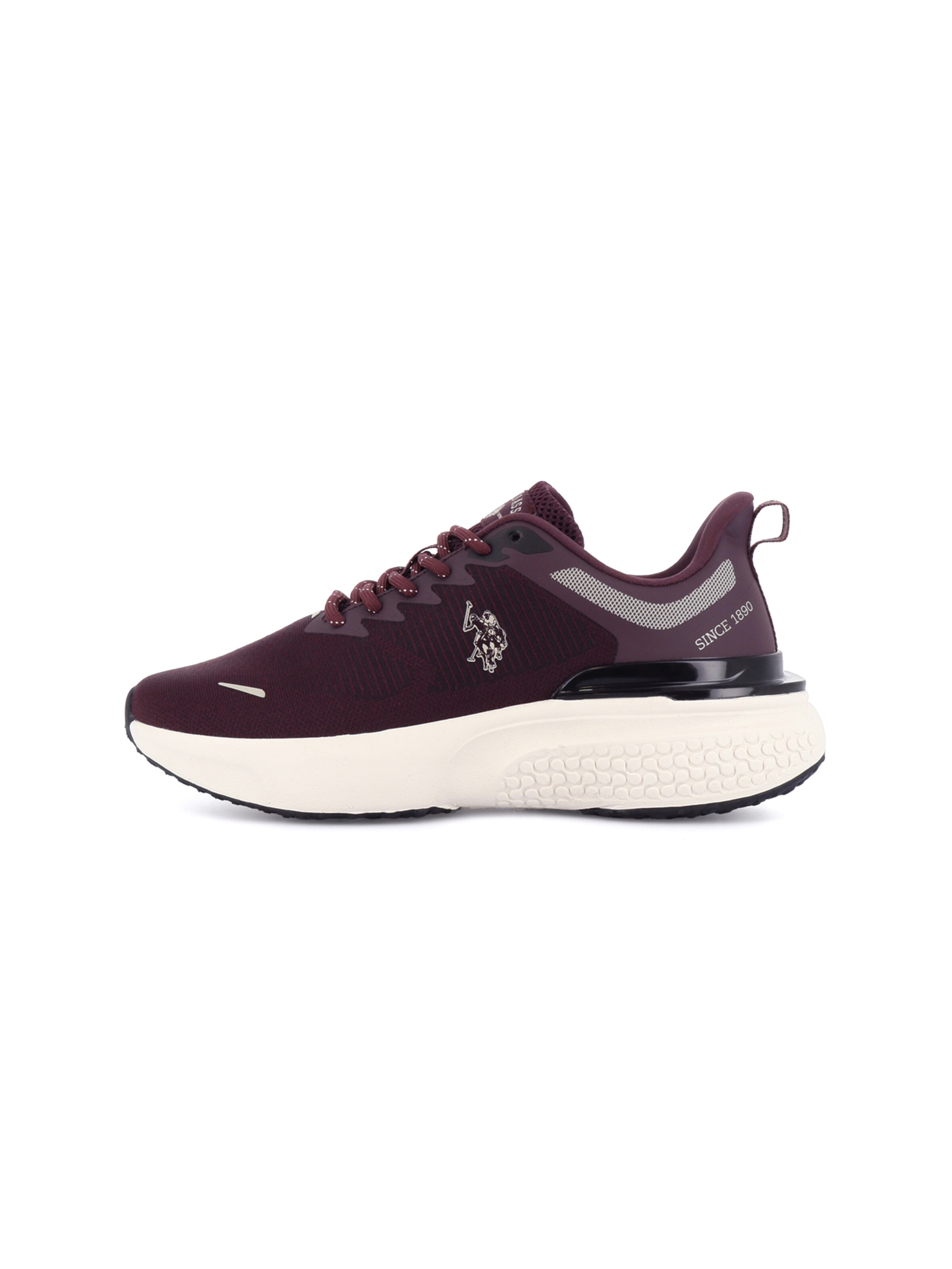 US POLO ASSN. Sneaker 'Spritz' in Lila: Vorderseite
