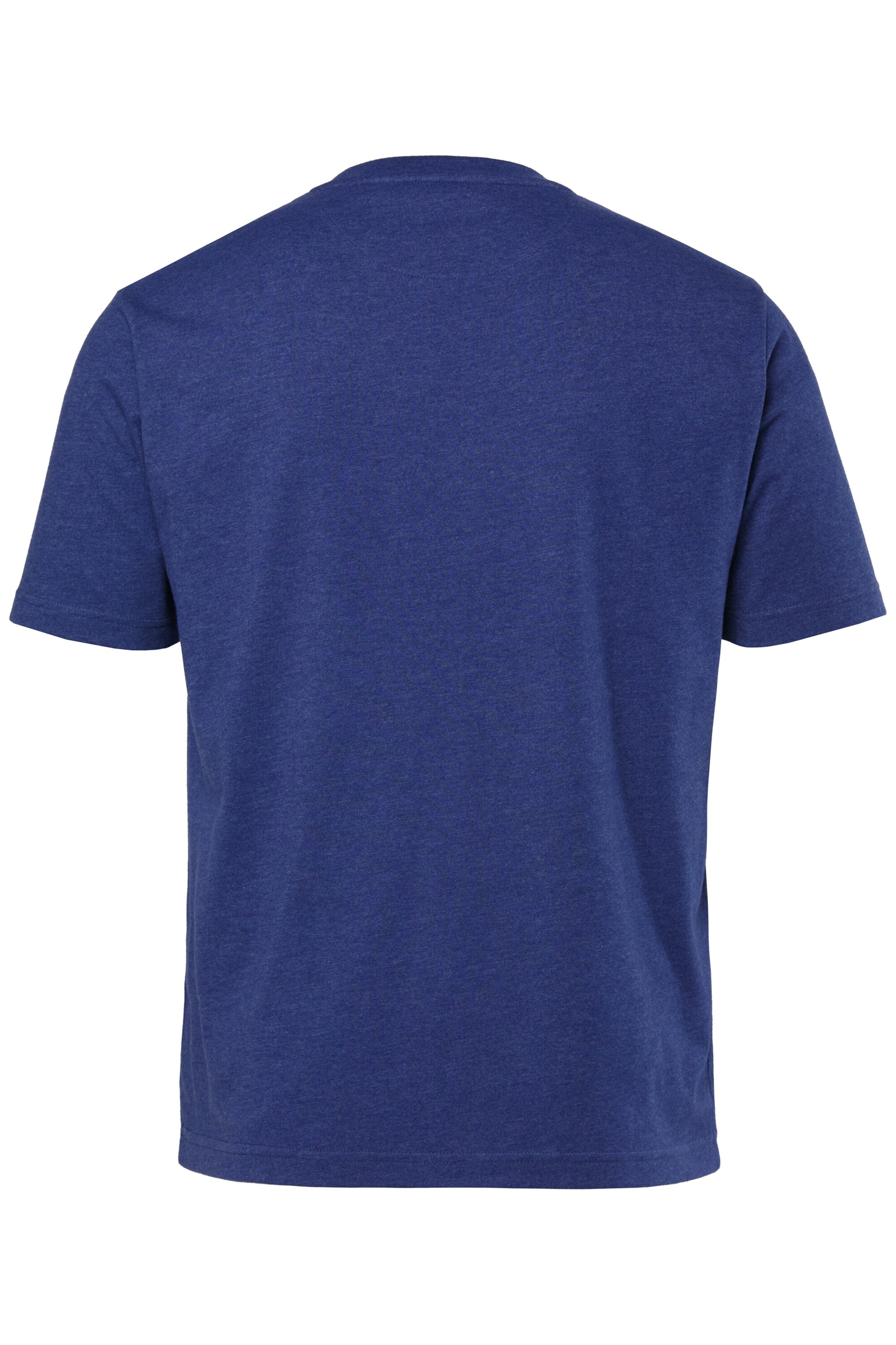 Men Plus Shirt in Blue