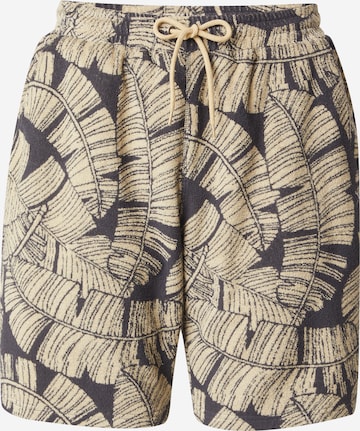 Regular Pantalon 'Bananos' Iriedaily en gris : devant