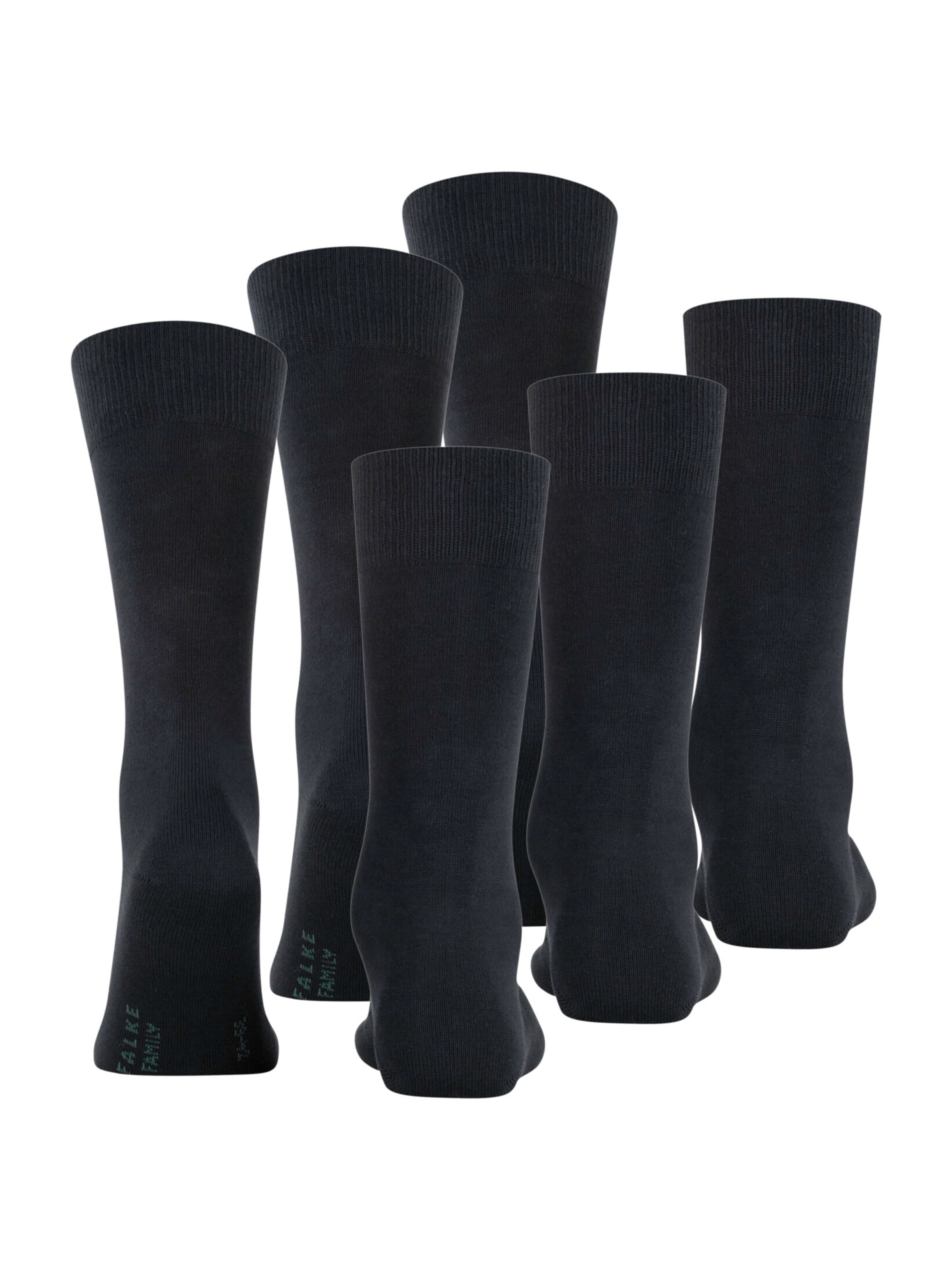 FALKE Socks 'Family' in Blue