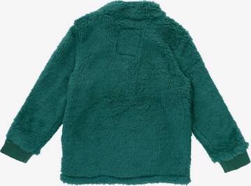 Ebbe Sweater in Green