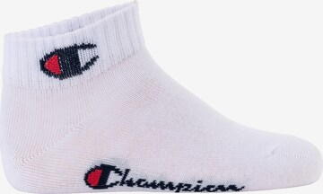 Champion Authentic Athletic Apparel Socks in Mixed colors