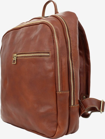 bupell Rucksack 'Dante' in Braun: Vorderseite