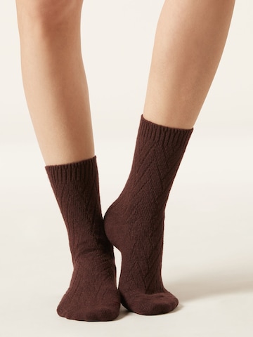 CALZEDONIA Socken in Braun: Vorderseite