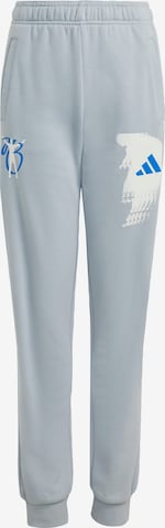 ADIDAS PERFORMANCE - Tapered Pantalón deportivo 'Jude Bellingham' en gris: frente