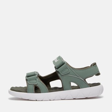 TIMBERLAND Sandals & Slippers in Green