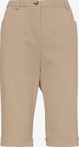 Goldner Regular Pants 'CARLA' in Brown: front