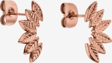 PURELEI Ohrringe 'Leaf' in Gold: Vorderseite