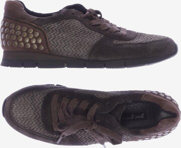 Paul Green Sneakers & Trainers in 37 in Brown: front