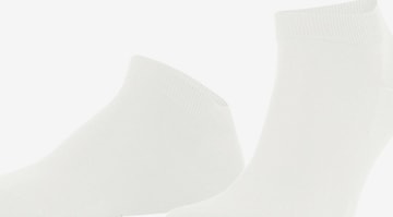 FALKE Socken 'ClimaWool' in Weiß: Vorderseite