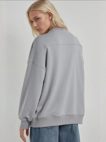 Hiccup Sweatshirt in Grau