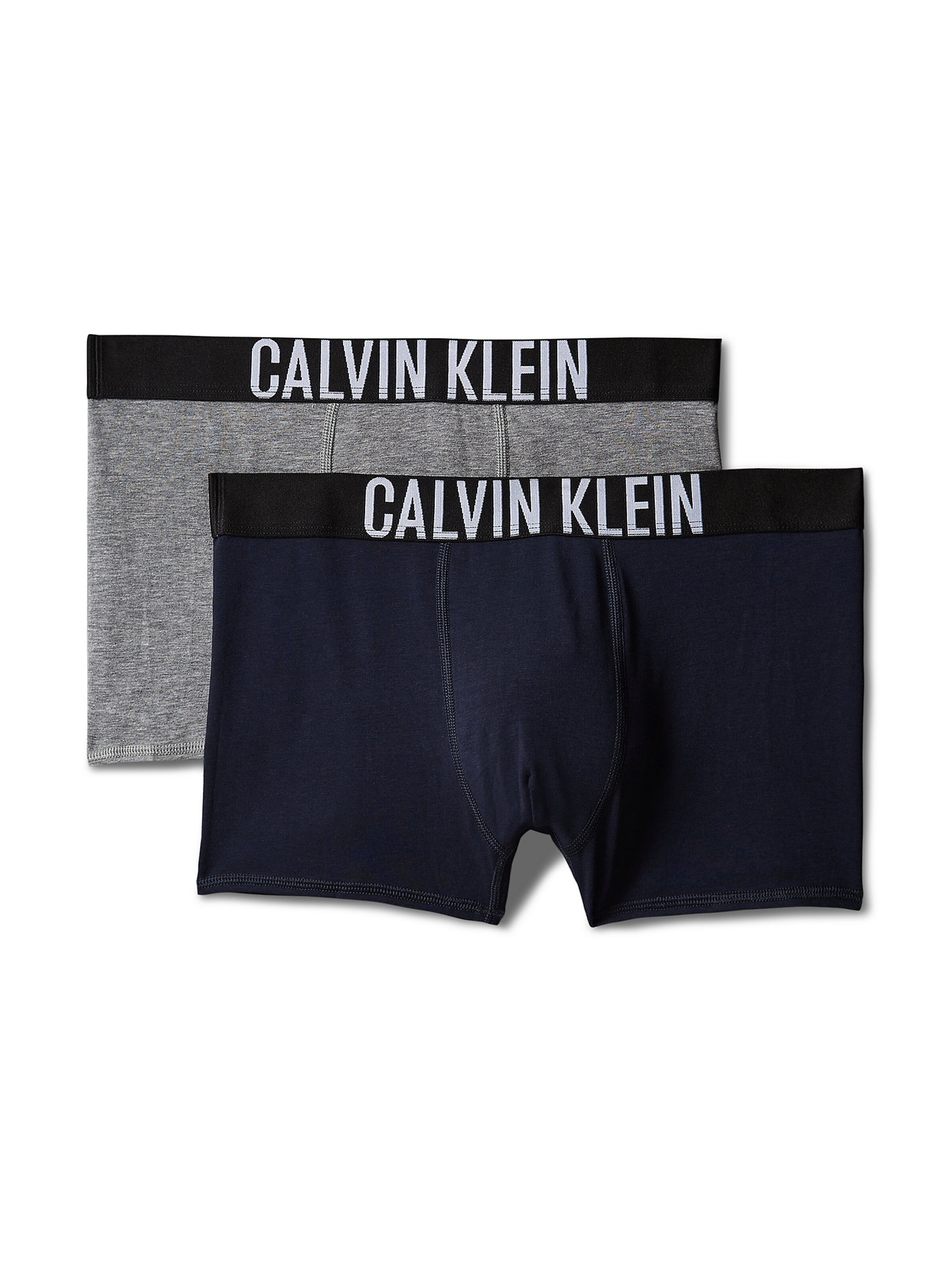 Sous-vêtements 'Intense Power' Calvin Klein Underwear en bleu : devant