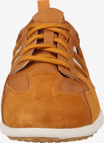 GEOX Sneakers laag in Bruin