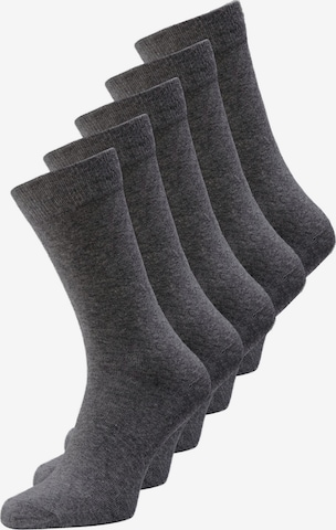 JACK & JONES Socks in Grey: front