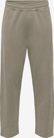 Only & Sons - regular Pantalón 'ONSLucas' en gris: frente