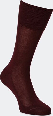 FALKE Socks 'Tiago' in Black