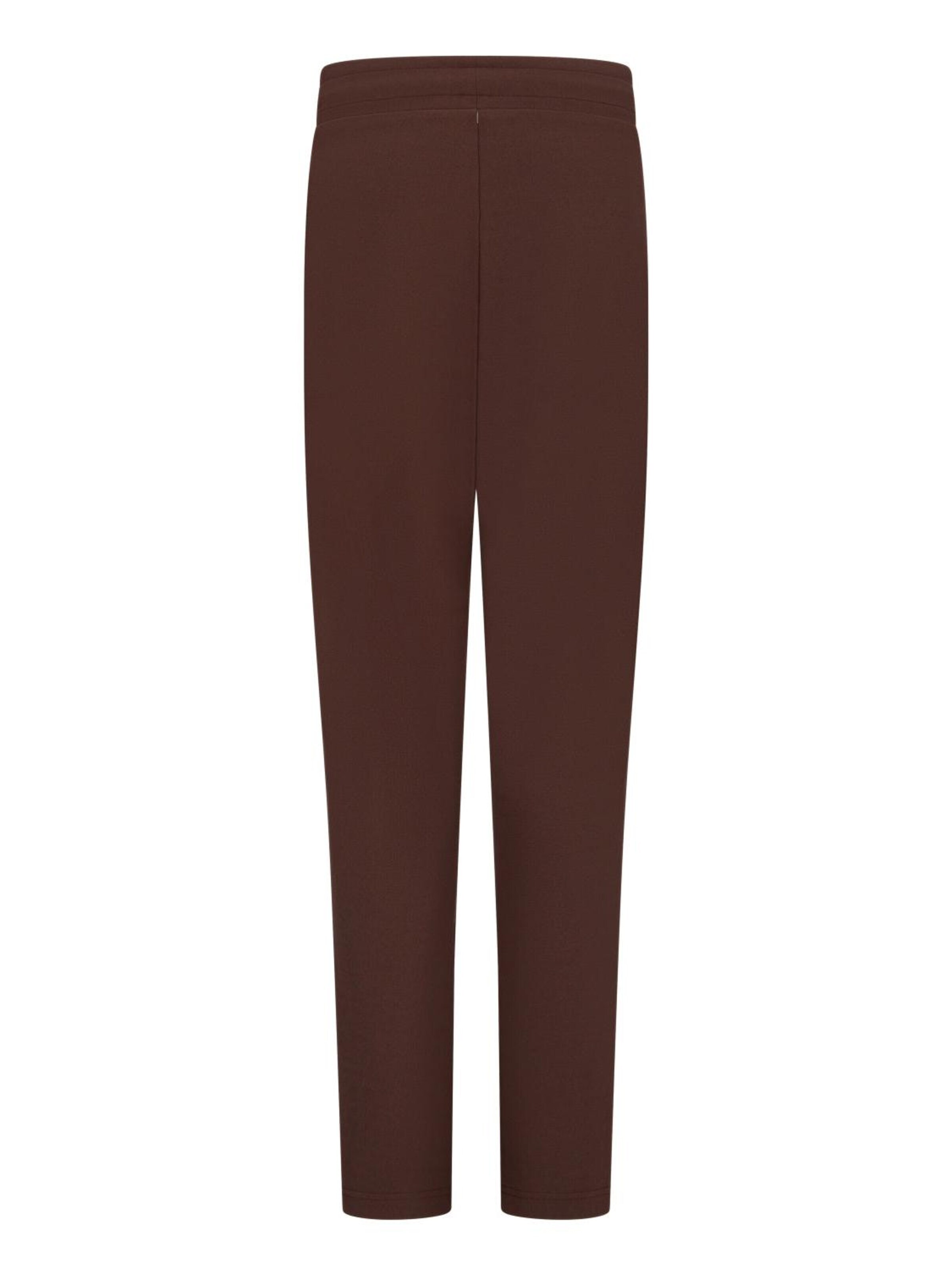 HAJO Regular Pants in Brown