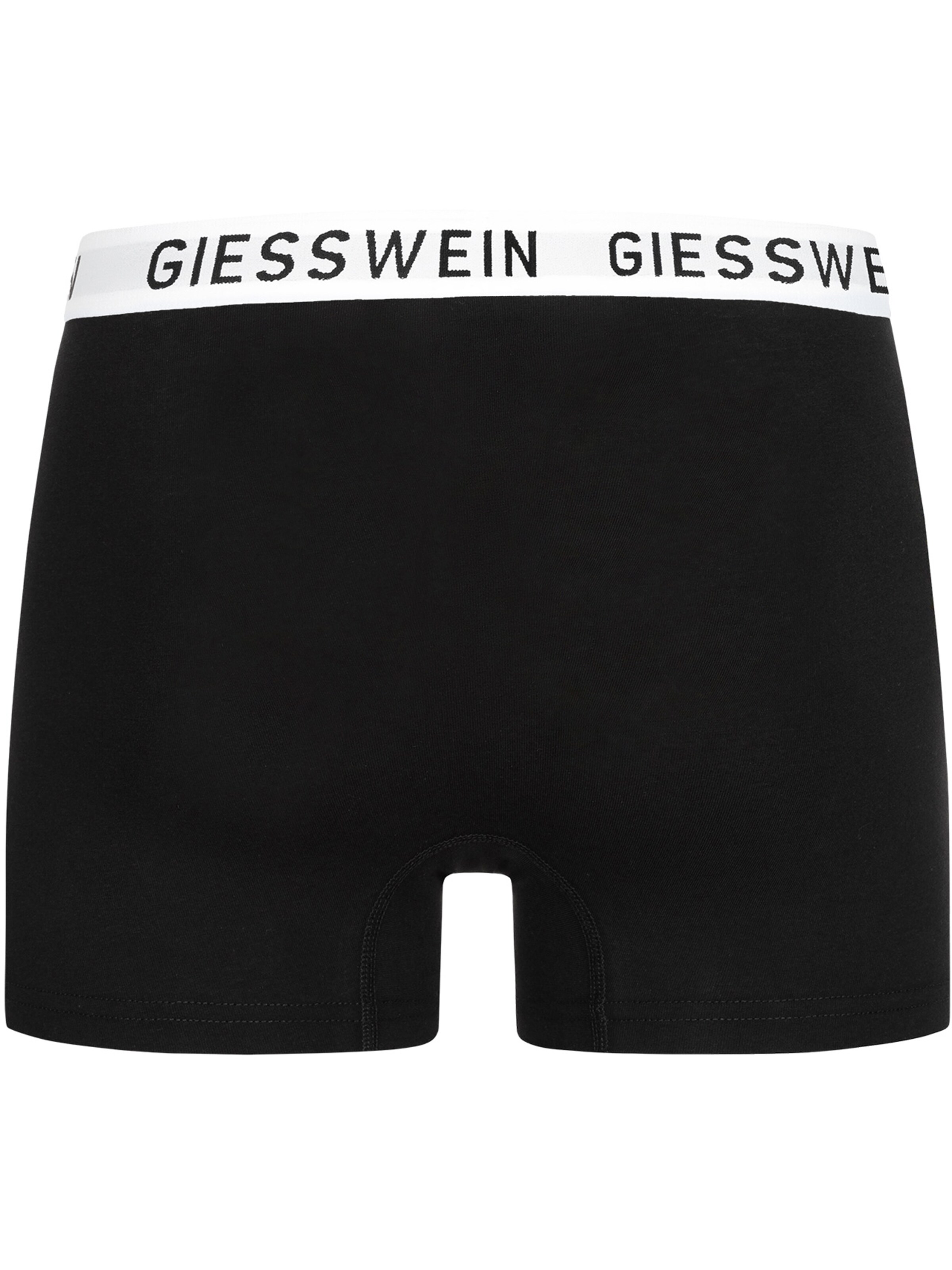 GIESSWEIN Boxer shorts in Grey